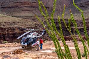 Grand Canyon Discovery