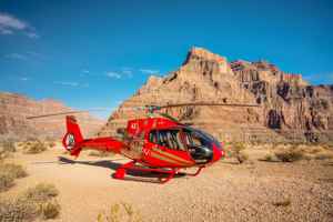 Grand Celebration - EcoStar Family Flight